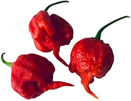 20 Seeds ''Carolina Reaper'' Chili -World Record Chilli Pepper- Over 2.000.000 Scoville