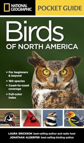 Amazon.com: Jeffrey Whiting's Owls of North America (Whiting's