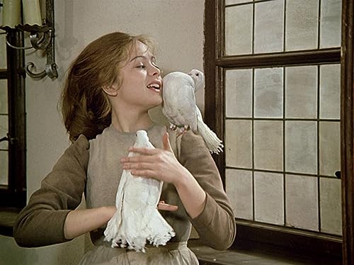 Drei Haselnüsse für Aschenbrödel - Neue HD-Restaurierung (Filmjuwelen / DEFA-Märchen) [DVD]