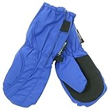 Toddler Boy's (2 - 4) Long Thinsulate Lined / Wateproof Ski Mittens