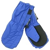 Toddler Boy's (2-4) Long Thinsulate Lined/Wateproof