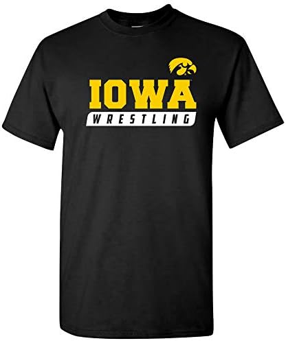 Amazon.com: UGP Campus Apparel AS03 - Michigan Wolverines Arch