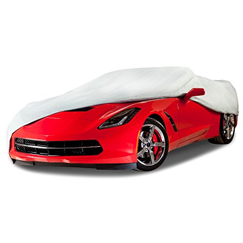 Tyvek car cover