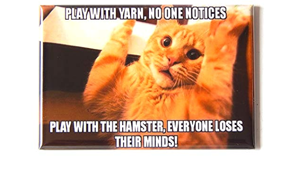 Amazon Com Gato Meme 63 Iman Para Nevera 2 X 3 Pulgadas Hogar Y Cocina