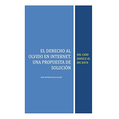 El Derecho al Olvido en Internet: Del caso Google al Big Data