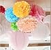 Life Glow 12Pcs Pom Poms of 10
