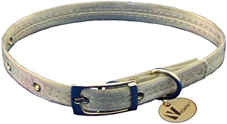 Vedante Super Reflective Dog Collar with Bonus Glow in the Dark Tag (Medium, Silver)