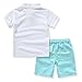 Miniowl Little Boys' 2pcs Shorts Set Polo T-shirt with Elastic Waistband Shorts (5t, White)