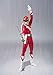 TAMASHII NATIONS Bandai S.H. Figuarts Vul Eagle Taiyo Sentai Sun Vulcan Action Figure
