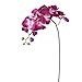 Ximkee 1 x Artificial Butterfly Orchid Flower Plant Home Decor Fuchsia (1pcs, Fuschia)