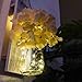 Mason Jar Sconces Wall Decor, Home Wall Decor for Living Room, Country Kitchen Decorations, Bathroom Wall Decor, Rustic Wall Sconce with LED Strip Lights and Hydrangea Flowers (Set of 2) Vintage Decor