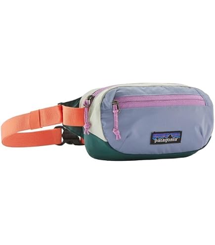 Amazon.com | Patagonia Ultralight Black Hole Mini Hip Pack