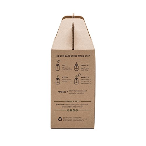 Kitchen Herb Kit – Three Self-watering Indoor Planters with Organic Basil, Organic Parsley, and Non-gmo Mint Seeds.