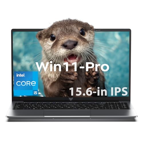 ACEMAGIC Gaming Laptop Intel Core i5-12600H Laptop Computers, 15.6-in 16GB DDR4 512GB NVMe SSD Intel Laptops Notebook-PC, Numeric Keypad WiFi 6 Win-11 Pro BT5.2 HDMI Type-C USB-3.2 Webcam 3.5mm Audio