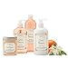 Stonewall Kitchen Citrus Blossom Hand Soap, 16.9 Ounces