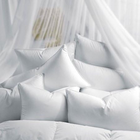 Digital Decor 100% Down-Like Microdenier Gel-Fiber Sleeping Pillows, Set of 2