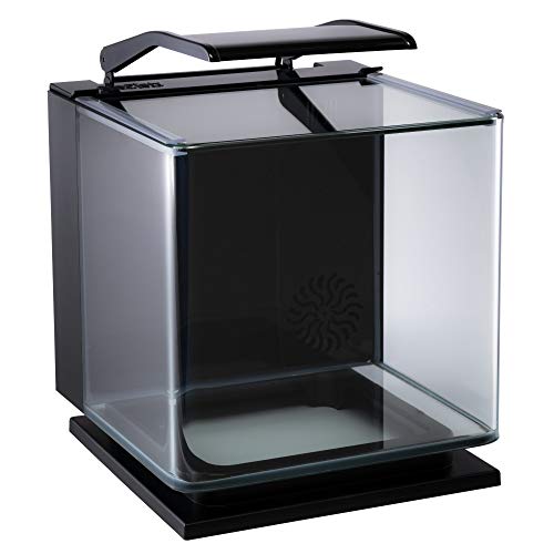 GloFish Betta Aquarium Kit - Image 5