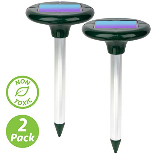 Amazon.com : Livin Well Solar Mole Repellent Yard Stakes - 4pk Ultrasonic Outdoor Pest Control Rodent Repeller Spikes, Get Rid of Moles Voles and Gophers ...