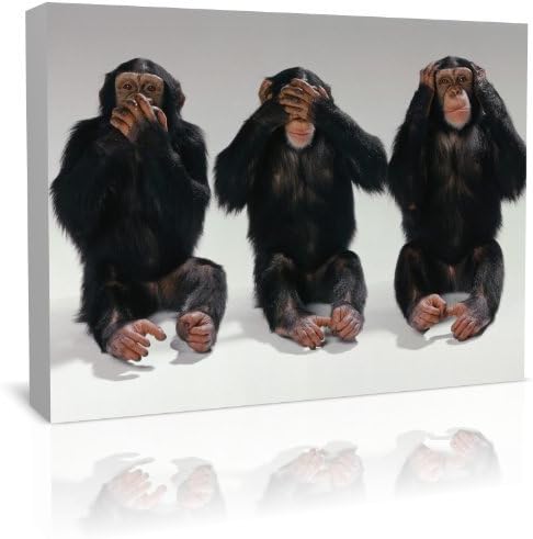 Hear no evil, See no evil, and speak no evil Modern Art Canvas Art Print - Modern Art - Framed Ready to Hang (20 inch x…