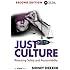 Just Culture: Balancing Safety and Accountability