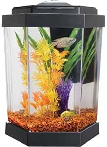 petco fish accessories