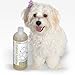 Dog Shampoo for Dry Itchy Skin - Smelly Dogs Cats Probiotic Shampoo & Conditioner Medicated Veterinary Formula Clinical Aloe Vera Pet Wash for Puppy Kitten Kitty Cat Dry Itchy Sensitive Shedding Skin
