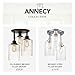 GLOBE Electric 61418 3-Light Semi-Flush Mount Ceiling Light Fixture, Brushed Steel, Clear Glass Shades, E26 Socket, Front Porch Lighting, Bulb Not Included