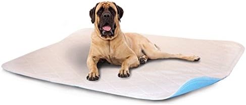 LennyPads Ultra Absorbent, Leak Proof, Washable Pee Pads - 1 Pack (121 cm x 182 cm) King