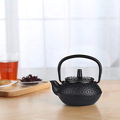 Cast-Iron-Teapot-Sotya-Tetsubin-Japanese-Tea-Kettle-300ml-Black