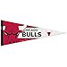 Chicago Bulls 12" x 30" Premium Pennant