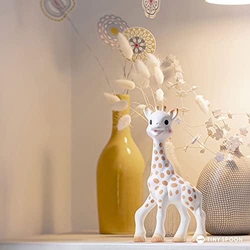 - Cofanetto GCF Giraffe Conservation - Dalla Nascita