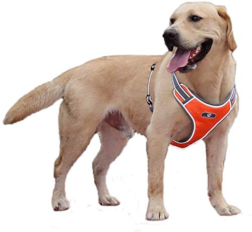 MeiAOBest Dog Harness,Dog Adjustable No-pull Escape proof Harness Breathable Oxford Reflective Pet Vest Harness for Medium Dogs Large Dogs (L, Orange)