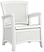Suncast Elements Club Chair with Storage - Lightweight, Resin, All-Weather Chair - Built-in Storage for up to 11 lbs. - White