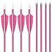 SHENG-RUI Archery Youth 24 26 inch Safety Glass Vaned Arrows Fiberglass Arrow Pink - Will Not Splinter