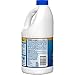 Clorox Splash-Less Liquid Bleach, Regular - 55 Ounce Bottle (Package May Vary)