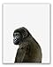 Baby Safari Animals Poster Prints - Set of 6 (8x10) Adorable Furry African Portraits Wall Art Nursery Decor - Gorilla - Elephant - Zebra - Giraffe - Leopard - Lion