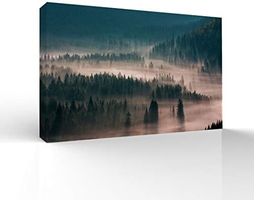 signwin-Canvas Wall Art-Fog in The Forest -Canvas Prints Home Artwork Decoration for Living Room,Bedroom - 24x36 inches