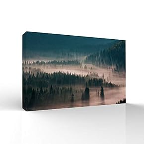 Canvas Wall Art-Fog in The Forest -Canvas Prints Home Artwork Decoration for Living Room,Bedroom - 16x24 inches