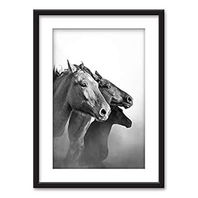 Framed Wall Art - Horses in Black White - Black Picture Frames White Matting - 23x31 inches