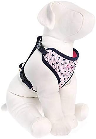 ellen degeneres dog harness
