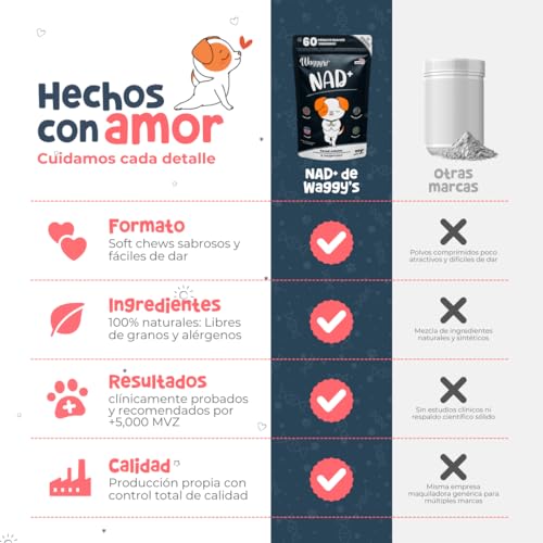 Waggy’s NAD+ - Suplemento Longevidad y Antiedad Perros | Energía, Prevención y Función Cognitiva | Salud Celular y Vitalidad | Precursor NAD+, Complejo B, Resveratrol y Colágeno | 60 Soft Chews