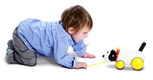 Ambi Toys Max Pull Along Toy