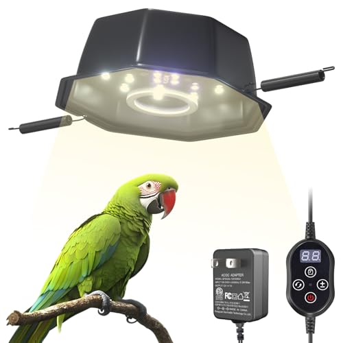 GlowUp Bird Cage Light