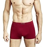 Mens Boxer Briefs Modal Underwear Underpants Variant Color