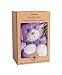 WILD BABY Purple Bear Microwaveable Stuffed Animal - Heatable Plush Pal with Aromatherapy Lavender Scent for Babies and Kids - 10