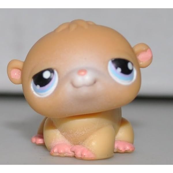 how to find a hamster that got loose