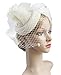 Cizoe Fascinator Hair Clip Pillbox Hat Bowler Feather Flower Veil Wedding Party Hat Tea Hat (1-Beige)