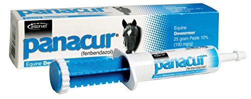 Panacur Equine Dewormer Paste 25 g