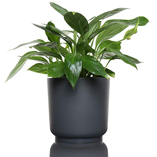 idea-station Blumentopf Set 3 x 13 cm - anthrazit - bruchsichere Blumentöpfe aus Plastik für verschiedenste Pflanzen, Blumen - Matte Übertöpfe für innen und außen – Bild 3