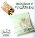 BioBag 100% Certified Compostable Resealable Sandwich Bags, 25 Count, Perfect for Lunches, Snacks, and On The Go Green